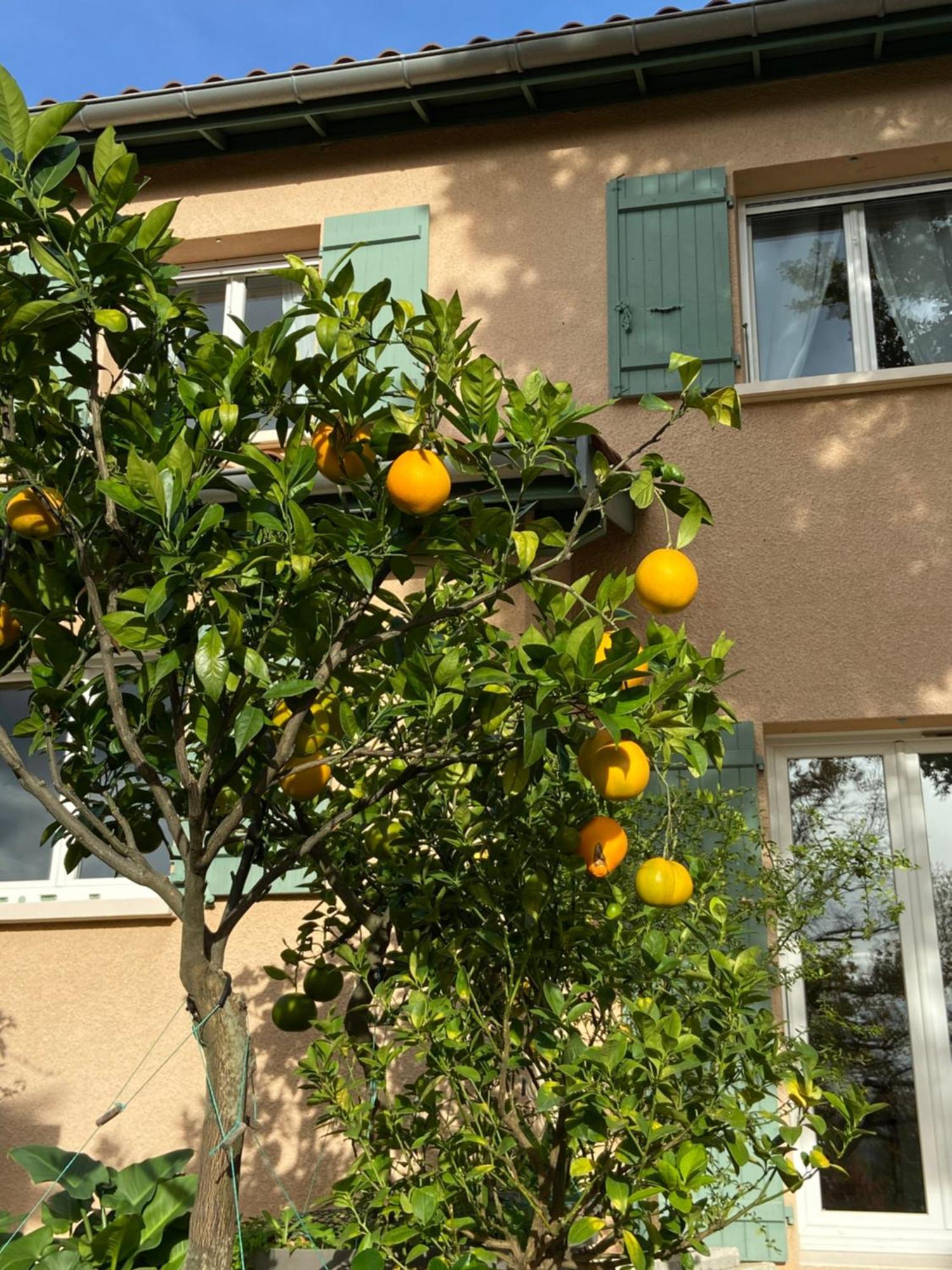 Le Relais Des Malettes Chambres D'Hotes B&B Francheville  Luaran gambar
