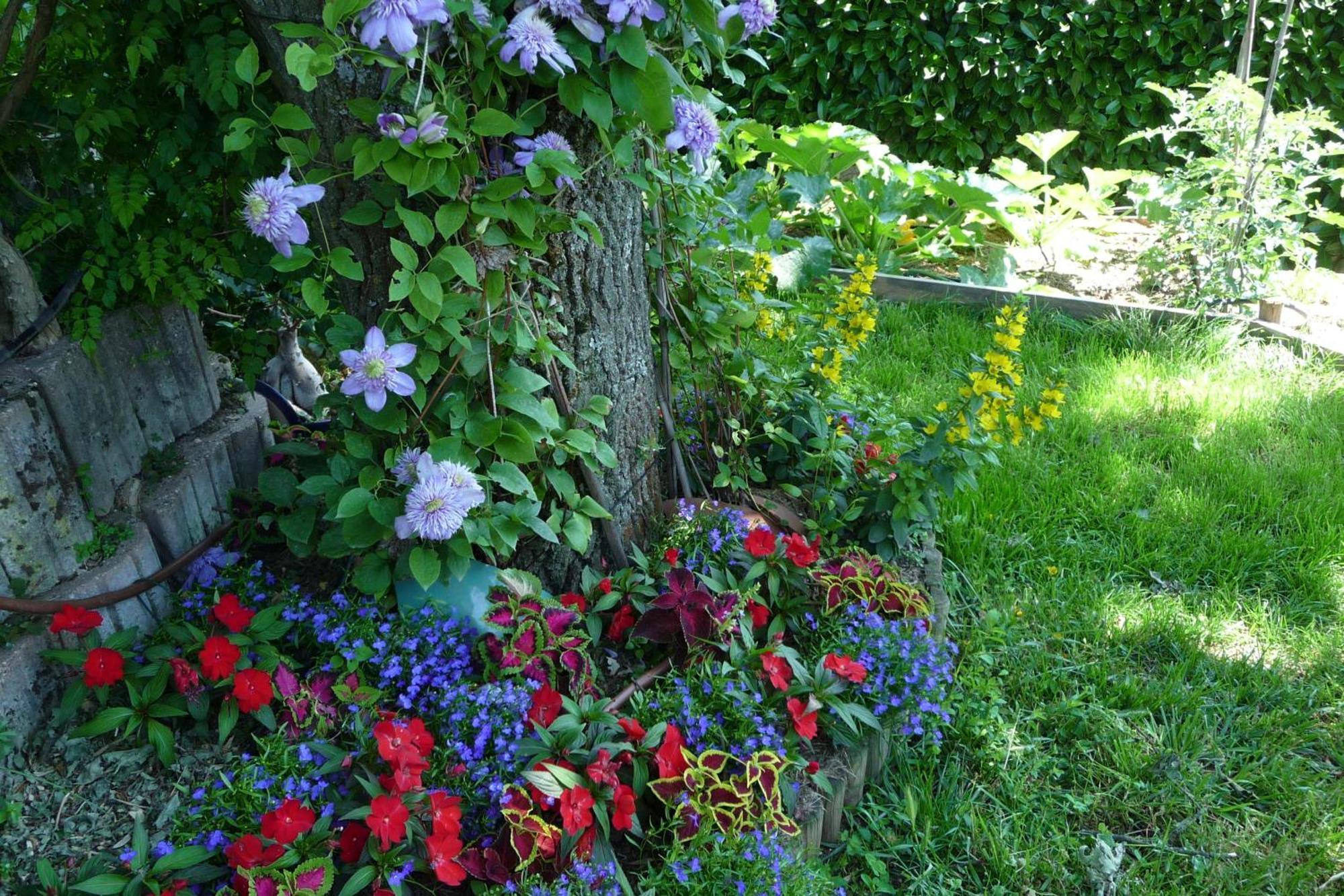 Le Relais Des Malettes Chambres D'Hotes B&B Francheville  Luaran gambar